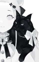 Rule 34 | 1girl, abigail williams (fate), animal, animal on shoulder, black cat, cat, cat on shoulder, character request, commentary, costume request, hair bun, hair ornament, monochrome, navvvtis, nosh (fgo), ribbon, smile, symbol-only commentary
