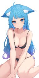 Rule 34 | 1girl, ahoge, alternate costume, animal ear fluff, animal ears, black bra, black panties, blue eyes, blue hair, blush, bra, breasts, breasts squeezed together, cleavage, closed mouth, commentary request, dog ears, dog girl, expressionless, floppy ears, full body, gradient hair, highres, large breasts, long hair, looking at viewer, medium bangs, multicolored hair, nanashi inc., navel, nishino eri, panties, purple hair, simple background, sitting, solo, souya ichika, underwear, underwear only, virtual youtuber, wariza, white background