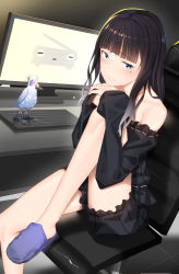 Rule 34 | 1girl, bad id, bad pixiv id, bare shoulders, bird, black shirt, black shorts, blue eyes, blue footwear, blunt bangs, blush, chair, commentary request, computer, feet on chair, frown, highres, indie virtual youtuber, keyboard (computer), knee up, long sleeves, looking at viewer, mole, mole under eye, monitor, original, pallad, shirt, shorts, sitting, solo, virtual youtuber
