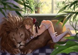 Rule 34 | 1girl, artist request, blush, breasts, brown hair, feet, flat chest, girl on top, lion, long hair, looking at viewer, no shoes, nude, small breasts, thighhighs, white thighhighs