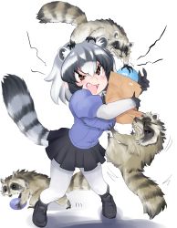 Rule 34 | 10s, 1girl, absurdres, angry, animal, animal ears, bag, biting, black bow, black bowtie, black footwear, black hair, black skirt, blouse, blue shirt, blush, bow, bowtie, grabbing another&#039;s breast, breasts, brown eyes, common raccoon (kemono friends), elbow gloves, extra ears, eyelashes, fingernails, food, food theft, full body, fur collar, furrowed brow, gloves, grabbing, grey hair, hair between eyes, highres, holding, holding bag, holding food, japari bun, kemono friends, leaning forward, loafers, medium breasts, miniskirt, motion lines, multicolored clothes, multicolored gloves, multicolored hair, open mouth, pantyhose, paper bag, pigeon-toed, pleated skirt, puffy short sleeves, puffy sleeves, raccoon, raccoon ears, raccoon tail, running, ryou (cagw5223), shadow, sharp fingernails, sharp teeth, shirt, shoes, short sleeves, shouting, skirt, solo, standing, sweat, tail, teeth, theft, v-shaped eyebrows, white background, white gloves, white hair, white pantyhose