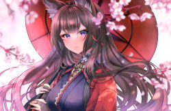 1girl amagi_(azur_lane) animal_ear_fluff animal_ears azur_lane blunt_bangs blurry blurry_foreground blush breasts bridal_gauntlets brown_hair cherry_blossoms coat collar commentary_request eyeshadow floating_hair fox_ears fox_girl hair_ornament highres holding holding_umbrella japanese_clothes kimono large_breasts long_hair looking_at_viewer makeup oil-paper_umbrella partial_commentary purple_eyes purple_kimono red_coat red_eyeshadow sakuramon sidelocks smile solo standing thick_eyebrows umbrella upper_body white_background wide_sleeves yukinimaru