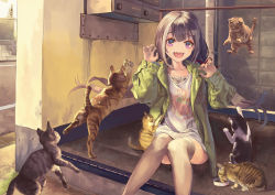 Rule 34 | 1girl, absurdres, black hair, cat, english text, eyebrows hidden by hair, fangs, highres, huge filesize, jacket, karyl (real) (princess connect!), looking at viewer, maronmokaet, outdoors, princess connect!, purple eyes, scenery, shirt, sitting, solo, t-shirt, thighhighs, twintails