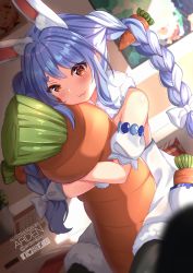 Rule 34 | 1girl, animal ear fluff, animal ears, ardenlolo, artist name, bed, bedroom, blue hair, book, braid, brown hair, calendar (object), carrot, cheek squash, day, dutch angle, flower pot, hololive, hugging object, indoors, instagram username, looking at viewer, multicolored hair, paid reward available, painting (object), pillow, pillow hug, rabbit ears, rabbit girl, solo, trash can, twin braids, twintails, twitter logo, twitter username, two-tone hair, usada pekora, usada pekora (1st costume), virtual youtuber