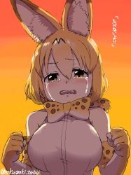 Rule 34 | 10s, 1girl, animal ears, backlighting, bare shoulders, blonde hair, blush, bow, bowtie, clenched hands, commentary request, elbow gloves, evening, extra ears, gloves, hair between eyes, highres, kemono friends, looking at viewer, multicolored hair, serval (kemono friends), serval print, shirt, short hair, sleeveless, sleeveless shirt, solo, source quote, tearing up, tears, translation request, turbo engine (rakugaki tabo), twitter username, upper body, vest, yellow eyes