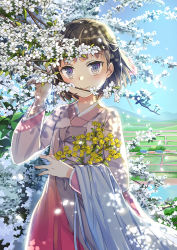 Rule 34 | 1girl, blue sky, blunt bangs, blush, branch, brown hair, closed mouth, dappled sunlight, day, field, flower, hair ribbon, hand up, holding, japanese clothes, jin young-in, kimono, long sleeves, looking at viewer, mountainous horizon, original, plaid, ribbon, shawl, short hair, sky, smile, solo, spring (season), standing, sunlight, tree, white flower, yellow flower