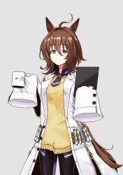 Rule 34 | 1girl, agnes tachyon (umamusume), ahoge, animal ears, black necktie, black pantyhose, brown hair, clipboard, cup, equation, fumiomiomi, grey background, highres, holding, holding clipboard, holding cup, horse ears, horse girl, horse tail, lab coat, long sleeves, medium hair, messy hair, necktie, pantyhose, physics, red eyes, short necktie, sleeves past fingers, sleeves past wrists, solo, sweater, tail, test tube, umamusume, yellow sweater, zipper, zipper pull tab