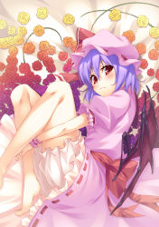 Rule 34 | 1girl, absurdres, bare legs, barefoot, bloomers, bow, bz (pixiv), dress, female focus, fetal position, flower, hat, highres, kokonoe shuu, large bow, hugging own legs, light purple hair, looking at viewer, lying, on side, plant, red eyes, remilia scarlet, rose, solo, touhou, underwear, vines, wings, wrist cuffs