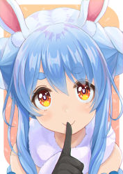 1girl, absurdres, animal ear fluff, animal ears, bare shoulders, blue hair, blush, braid, bunny-shaped pupils, bunny ears, closed mouth, commentary request, don-chan (usada pekora), eyebrows visible through hair, finger to mouth, hand up, highres, hololive, looking at viewer, mitsuzaki aya (artist), orange eyes, rabbit girl, scarf, short eyebrows, shushing, smile, solo, thick eyebrows, twin braids, twintails, twitter username, upper body, usada pekora, virtual youtuber