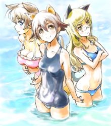 Rule 34 | 3girls, animal ears, bikini, blonde hair, blue bikini, blue eyes, breasts, brown hair, cat ears, cat tail, chikuwa (tks), cleavage, crossed arms, glasses, groin, image sample, long hair, lynette bishop, md5 mismatch, miyafuji yoshika, multiple girls, navel, one-piece swimsuit, open mouth, partially submerged, perrine h. clostermann, pixiv sample, school swimsuit, short hair, smile, strike witches, swimsuit, tail, wading, water, world witches series, yellow eyes