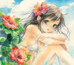 Rule 34 | 1girl, bikini, blush, brown eyes, brown hair, cloud, crossed arms, day, flower, front-tie top, hair flower, hair ornament, hibiscus, long hair, looking at viewer, original, parted lips, sitting, sky, solo, swimsuit, toyoda izumi, traditional media, water, wind