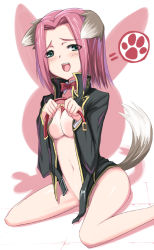 Rule 34 | 00s, 1girl, animal ears, bad id, bad pixiv id, blue eyes, bottomless, bow, bowtie, breasts, cleavage, code geass, collar, dog ears, kouzuki kallen, open clothes, open shirt, red hair, sessue, shirt, solo, tail