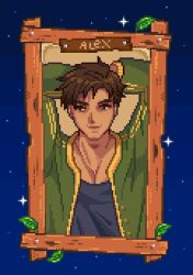 Rule 34 | 1boy, alex (stardew valley), arms behind head, black shirt, blue sky, brown hair, character name, closed mouth, collarbone, commentary, english commentary, green eyes, green jacket, highres, jacket, leaf, looking at viewer, male focus, mimpish, pectoral cleavage, pectorals, picture frame, pixel art, portrait, shirt, short bangs, short hair, sky, smile, solo, star (sky), stardew valley, starry sky, tan