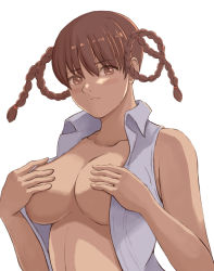 Rule 34 | 1girl, breasts, brown hair, dead or alive, large breasts, lei fang