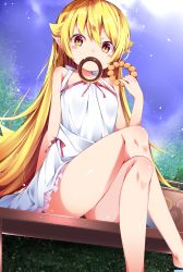 Rule 34 | 1girl, bakemonogatari, bare arms, bare legs, bare shoulders, bench, blonde hair, blue sky, blush stickers, buta (uhoiiotoko), crossed legs, day, doughnut, dress, fang, feet out of frame, food, frilled dress, frills, highres, holding, holding food, long hair, looking at viewer, monogatari (series), mouth hold, on bench, oshino shinobu, outdoors, park bench, pastry box, pointy ears, sitting, skin fang, sky, sleeveless, sleeveless dress, solo, straight hair, sundress, very long hair, white dress, yellow eyes