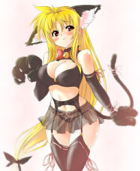 Rule 34 | 00s, 1girl, animal ears, animal hands, bell, blonde hair, blush, bra, breasts, cat ears, cat tail, choker, cleavage, curvy, fate testarossa, garter belt, gloves, jingle bell, large breasts, lingerie, long hair, low-tied long hair, lyrical nanoha, mahou shoujo lyrical nanoha, mahou shoujo lyrical nanoha strikers, nekomamire, panties, paw gloves, red eyes, see-through, solo, tail, thighhighs, underwear, very long hair
