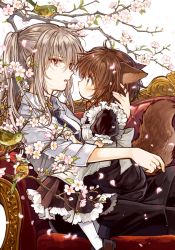 Rule 34 | 2girls, age difference, animal ears, apron, bad id, bad pixiv id, bird, blush, brown eyes, brown hair, cherry blossoms, couch, dress, flower, frilled dress, frilled sleeves, frills, goshujin-sama to kemonomimi no shoujo meru, grey hair, itou hachi, long hair, looking at another, maid, mel (goshujin-sama to kemonomimi no shoujo meru), multiple girls, onee-loli, open mouth, pants, pantyhose, petals, ponytail, profile, puffy short sleeves, puffy sleeves, red eyes, shirt, shoes, short hair, short sleeves, sidelocks, sitting, sitting on person, tail, teeth, white background, white legwear, wing collar, yuri