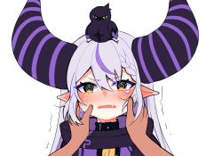 Rule 34 | 1girl, @ @, animal, animal on head, bird, bird on head, blush, braid, crow (la+ darknesss), crown braid, fang, hair between eyes, highres, hololive, holox, horns, la+ darknesss, la+ darknesss (1st costume), light purple hair, long hair, looking at viewer, multicolored hair, on head, pointy ears, portrait, pov, pov hands, purple hair, savi (byakushimc), simple background, solo focus, streaked hair, striped horns, tearing up, trembling, two-tone hair, virtual youtuber, white background