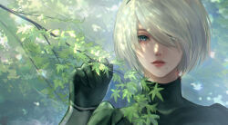 Rule 34 | 1girl, 2b (nier:automata), black gloves, blue eyes, branch, day, gloves, hair over one eye, highres, holding, holding branch, juliet sleeves, lips, long sleeves, looking at viewer, michiko (ui29), mole, mole under mouth, nier:automata, nier (series), nose, outdoors, puffy sleeves, short hair, solo, upper body, white hair