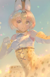 Rule 34 | 10s, 1girl, animal ears, elbow gloves, gloves, kemono friends, looking at viewer, orange hair, orange skirt, serval (kemono friends), short hair, skirt, smile, solo, white gloves, yellow eyes, yoshimoto (dear life)