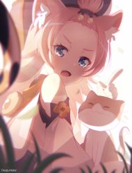 Rule 34 | 1girl, animal ear fluff, animal ears, artist name, bang dream!, bangs pinned back, bare shoulders, blue eyes, blurry, blurry foreground, cat, cat ears, cat girl, cat tail, commentary, cosplay, despuntater, detached sleeves, diona (genshin impact), diona (genshin impact) (cosplay), genshin impact, grass, hat, highres, index finger raised, kemonomimi mode, long hair, looking at viewer, multicolored tail, open mouth, pink hair, puffy detached sleeves, puffy sleeves, short hair, sidelocks, sitting, solo, tail, tamade chiyu, teeth, upper teeth only, white sleeves