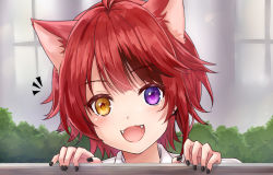 Rule 34 | 1boy, :d, animal ear fluff, animal ears, antenna hair, black nails, blush, brown eyes, commentary request, fangs, heterochromia, looking at viewer, male focus, nail polish, notice lines, open mouth, portrait, purple eyes, red hair, rinu (niconico), smile, solo, strawberry prince, sunameri (pixiv3564245), utaite