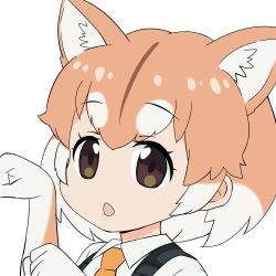 Rule 34 | 10s, 1girl, 2018, animal ears, bad id, bad pixiv id, chinese zodiac, collared shirt, commentary request, dog, dog (shiba inu) (kemono friends), dog ears, elbow gloves, gloves, kemono friends, kisachi, multicolored hair, necktie, official style, shirt, simple background, white background, year of the dog