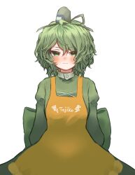 Rule 34 | 1girl, absurdres, apron, blush, closed mouth, clothes writing, commentary, cross-laced clothes, dress, green dress, green hair, highres, juliet sleeves, long sleeves, looking at viewer, puffy sleeves, short hair, simple background, soga no tojiko, solo, takana (forsterite), touhou, variant set, white background, yellow apron