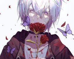 Rule 34 | 1boy, bandage on face, bandages, bishounen, blood, blood on clothes, bug, butterfly, choker, crying, crying with eyes open, falling petals, felds (novela&#039;s forest), flower, highres, holding, holding flower, insect, ka1 (user hkdw4252), looking at another, male focus, novela&#039;s forest, petals, purple butterfly, purple eyes, purple hair, red flower, red rose, rose, short hair, solo, teardrop, tears, upper body, white background