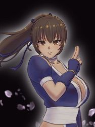 Rule 34 | 1girl, breasts, cleavage, dead or alive, kasumi (doa), large breasts, long hair, looking at viewer, okazunoridesuyo, petals, ponytail, solo