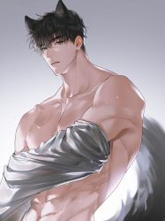 Rule 34 | 1boy, abs, animal ears, black hair, blue eyes, collarbone, dog boy, dog ears, dog tail, grey background, highres, korean commentary, looking at viewer, male focus, muksal, muscular, muscular male, original, solo, tail, undressing, upper body, wet