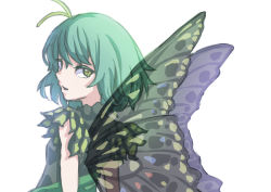 Rule 34 | 1girl, absurdres, antennae, aqua hair, butterfly wings, dress, eternity larva, fairy, green dress, hair between eyes, highres, insect wings, kame (kamepan44231), multicolored clothes, multicolored dress, one-hour drawing challenge, open mouth, short hair, short sleeves, simple background, single strap, solo, touhou, upper body, white background, wings, yellow eyes