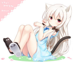 Rule 34 | 10s, 1girl, animal ear fluff, animal ears, black footwear, blue dress, cat ears, cat girl, cat tail, closed mouth, commentary request, dress, hair between eyes, hair ornament, hands up, highres, kemonomimi mode, long hair, looking at viewer, paw pose, red eyes, shizukawashi sumi, shoe soles, sidelocks, silver hair, sitting, sleeveless, sleeveless dress, slippers, solo, sophie twilight, tail, tonari no kyuuketsuki-san, twitter username, very long hair, white background