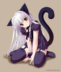Rule 34 | 1girl, animal ears, cat, cat ears, kneeling, saeki hokuto, solo, thighhighs