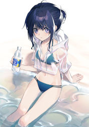 Rule 34 | 1girl, absurdres, arm support, beach, bikini, black hair, blue bikini, bottle, commentary request, crop top, day, drawstring, feet out of frame, groin, hair between eyes, haizome senri, highres, holding, holding bottle, hood, hood down, hoodie, navel, original, outdoors, pink eyes, sand, see-through, short sleeves, sitting, solo, swimsuit, water, water bottle, white hoodie