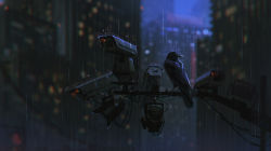 Rule 34 | alzi xiaomi, animal, animal focus, bird, blurry, blurry background, bokeh, building, cable, chinese commentary, chromatic aberration, city, city lights, commentary, crow, depth of field, english commentary, highres, mixed-language commentary, no humans, original, outdoors, rain, scenery, security camera, skyscraper, water drop, wet, wide shot, wire