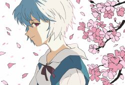 Rule 34 | 1girl, ayanami rei, blue eyes, cherry blossoms, closed mouth, highres, neon genesis evangelion, red eyes, red ribbon, ribbon, school uniform, shiso7110, short hair, simple background, smile, solo, tokyo-3 middle school uniform, tree, white background