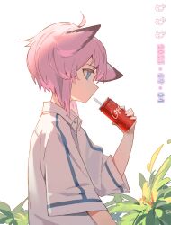 Rule 34 | 1girl, absurdres, animal ears, arknights, blue eyes, can, chaosneh, closed mouth, coca-cola, collared shirt, commentary request, dated, from side, hair between eyes, highres, holding, holding can, long sleeves, pink hair, profile, shirt, simple background, solo, sussurro (arknights), upper body, white background, white shirt