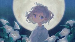 Rule 34 | 1girl, collared shirt, commentary request, flower, from behind, grey hair, looking at viewer, looking back, moon, night, night sky, official art, original, parted lips, potg (piotegu), purple eyes, shirt, short hair, sky, solo, star (sky), upper body, white flower, white shirt