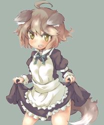 Rule 34 | 1girl, animal ears, apron, brown hair, choker, clothes lift, dress, dress lift, maid apron, open mouth, original, simple background, solo, tail, tomcat (moconeko), wolf ears, wolf tail, yellow eyes
