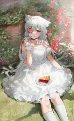 Rule 34 | 1girl, animal ear fluff, animal ears, arm up, bare shoulders, bow, cake, cat ears, cat girl, cat tail, closed mouth, detached sleeves, dress, eyepatch, flower, flower eyepatch, food, food on face, fork, frilled dress, frills, gijang, highres, holding, holding fork, kneehighs, looking at viewer, original, outdoors, pink flower, pink rose, plate, puffy short sleeves, puffy sleeves, purple eyes, rose, scrunchie, short sleeves, sitting, sleeveless, sleeveless dress, socks, solo, sunlight, tail, tongue, tongue out, white bow, white dress, white hair, white scrunchie, white socks, wrist scrunchie