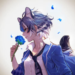 Rule 34 | 10s, 1girl, animal ear fluff, animal ears, backlighting, blue flower, blue hair, blue jacket, blue necktie, blue rose, commentary request, dress shirt, extra ears, flower, from side, highres, holding, holding flower, jacket, kemono friends, maltese tiger (kemono friends), md5 mismatch, multicolored hair, necktie, nose, open clothes, open jacket, petals, profile, realistic, resolution mismatch, rose, shirt, short hair, smelling, smile, solo, source smaller, tail, tail raised, takami masahiro, tiger ears, tiger girl, tiger tail, upper body, white hair, white shirt, yellow eyes