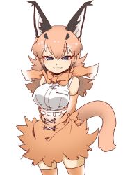 Rule 34 | 1girl, 370ml, animal ears, arms behind back, bad id, bad twitter id, belt, blue eyes, bow, bowtie, brown bow, brown bowtie, brown gloves, brown skirt, brown thighhighs, caracal (kemono friends), closed eyes, closed mouth, commentary, elbow gloves, extra ears, gloves, half-closed eyes, high-waist skirt, highres, kemono friends, light brown hair, long hair, looking at viewer, miniskirt, shirt, short hair, simple background, skirt, sleeveless, sleeveless shirt, smile, solo, standing, tail, thighhighs, traditional bowtie, white background, white belt, white shirt