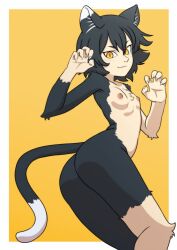 Rule 34 | 1girl, animal ears, ass, black fur, black hair, blush, breasts, cat ears, cat girl, cat tail, claws, closed mouth, dungeon meshi, furry, furry female, izutsumi, legs, nipples, small breasts, smile, solo, standing, tail, tanquito kun, yellow eyes