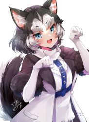 Rule 34 | 1girl, :3, animal ears, black fur, black hair, black jacket, blue eyes, commentary request, cowboy shot, dog ears, dog girl, dog tail, elbow gloves, fang, fur trim, gloves, harness, highres, jacket, kemono friends, multicolored clothes, multicolored hair, multicolored jacket, open clothes, open jacket, open mouth, paw pose, scarf, short hair, short sleeves, siberian husky (kemono friends), solo, sweater, tail, two-tone hair, two-tone jacket, white gloves, white hair, white jacket, white neckwear, white sweater, yuanagae