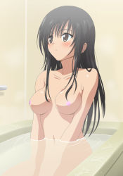 Rule 34 | 00s, 1girl, absurdres, bath, black hair, blush, breasts, brown eyes, collarbone, highres, kotegawa yui, long hair, nipples, nude, small nipples, solo, to love-ru, toshi (anime coloring), water