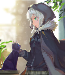 Rule 34 | 1girl, absurdres, animal, black cat, black cloak, black jacket, black ribbon, blue eyes, blurry, breasts, cat, cloak, commentary request, depth of field, fate (series), fur collar, gray (fate), green eyes, green skirt, highres, hood, hooded cloak, jacket, leaf, long sleeves, looking down, lord el-melloi ii case files, parted lips, plaid, plaid skirt, plant, profile, ribbon, shi qi kuang beng, silver hair, skirt, sleeves past wrists, small breasts, solo, table, upper body