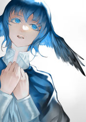 Rule 34 | 1girl, bird wings, blue eyes, blue hair, colored eyelashes, commentary, feathered wings, final fantasy, final fantasy xiv, from below, hands on own chest, hands up, head wings, high collar, highres, long sleeves, looking up, meteion, own hands together, parted lips, portrait, short hair, simple background, solo, white background, wings, yin cheng