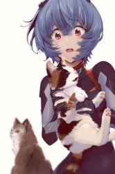 Rule 34 | 1girl, animal, animal ears, ayanami rei, blue hair, blurry, blurry background, bodysuit, calico, cat, cat ears, cat tail, evangelion: 3.0+1.0 thrice upon a time, hairpods, highres, holding, holding animal, holding cat, interface headset, multicolored bodysuit, multicolored clothes, neon genesis evangelion, open mouth, plugsuit, rebuild of evangelion, short hair, simple background, skin tight, standing, tail, upper body, white background, yagisawa teru