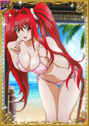 Rule 34 | 00s, 1girl, beach, bikini, breasts, card (medium), curvy, female focus, ikkitousen, kanpei, large breasts, long hair, looking at viewer, red hair, shiny skin, sky, smile, swimsuit, twintails
